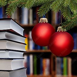 Weihnachtsbuchaustellung 2024
